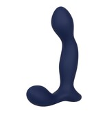 Cal Exotics Viceroy Expert Prostate Probe