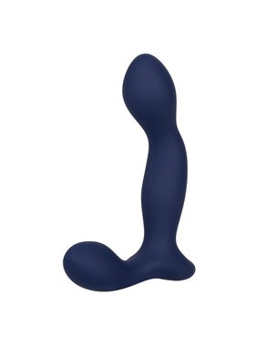 Cal Exotics Viceroy Expert Prostate Probe