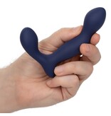 Cal Exotics Viceroy Expert Prostate Probe