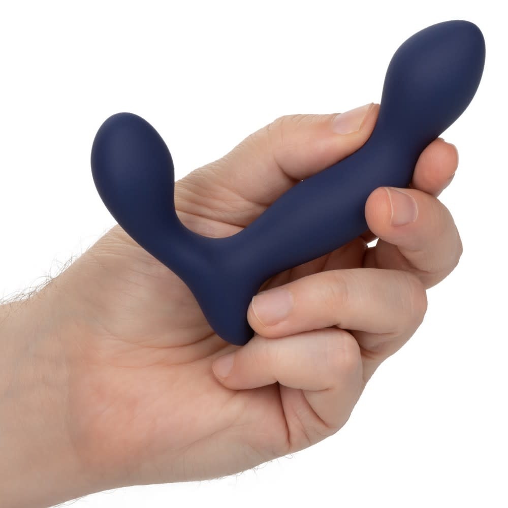 Cal Exotics Viceroy Expert Prostate Probe