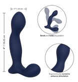 Cal Exotics Viceroy Expert Prostate Probe