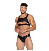 Voyeur Harness
