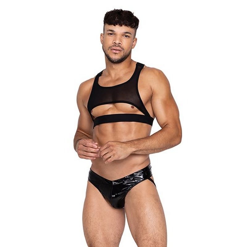 Voyeur Harness