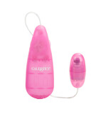 Cal Exotics Shane's World Her Stimulator Egg