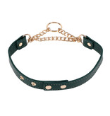 Sportsheets Sex & Mischief Indica Day Collar