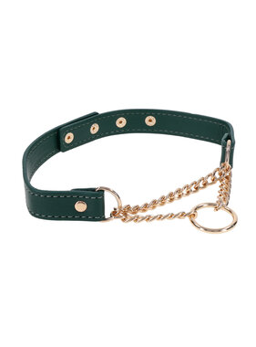 Sportsheets Sex & Mischief Indica Day Collar