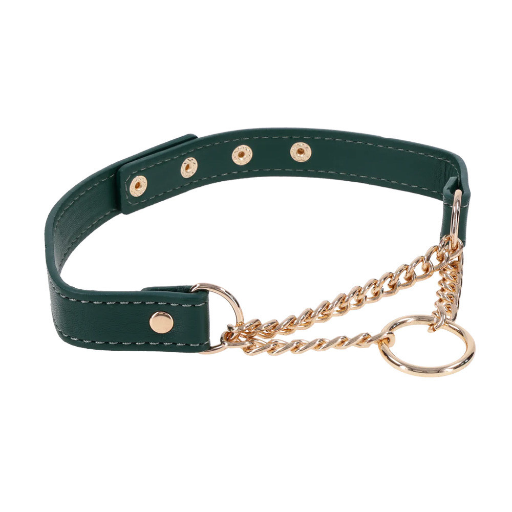 Sportsheets Sex & Mischief Indica Day Collar