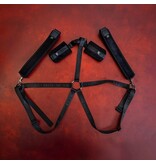 Creative Conceptions LLC SEI MIO Trussed Issues Adjustable Body Harness Restraint System