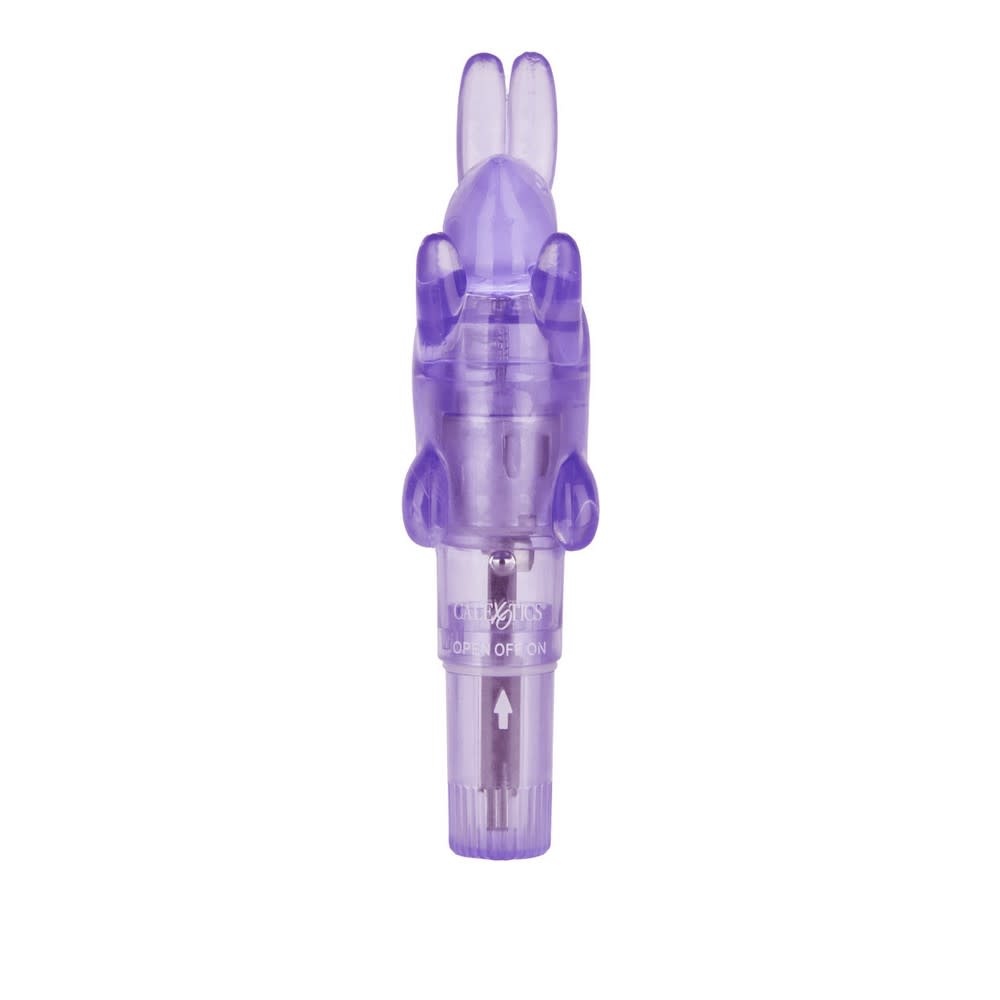 Cal Exotics Shane's World Pocket Party Vibe (Purple)