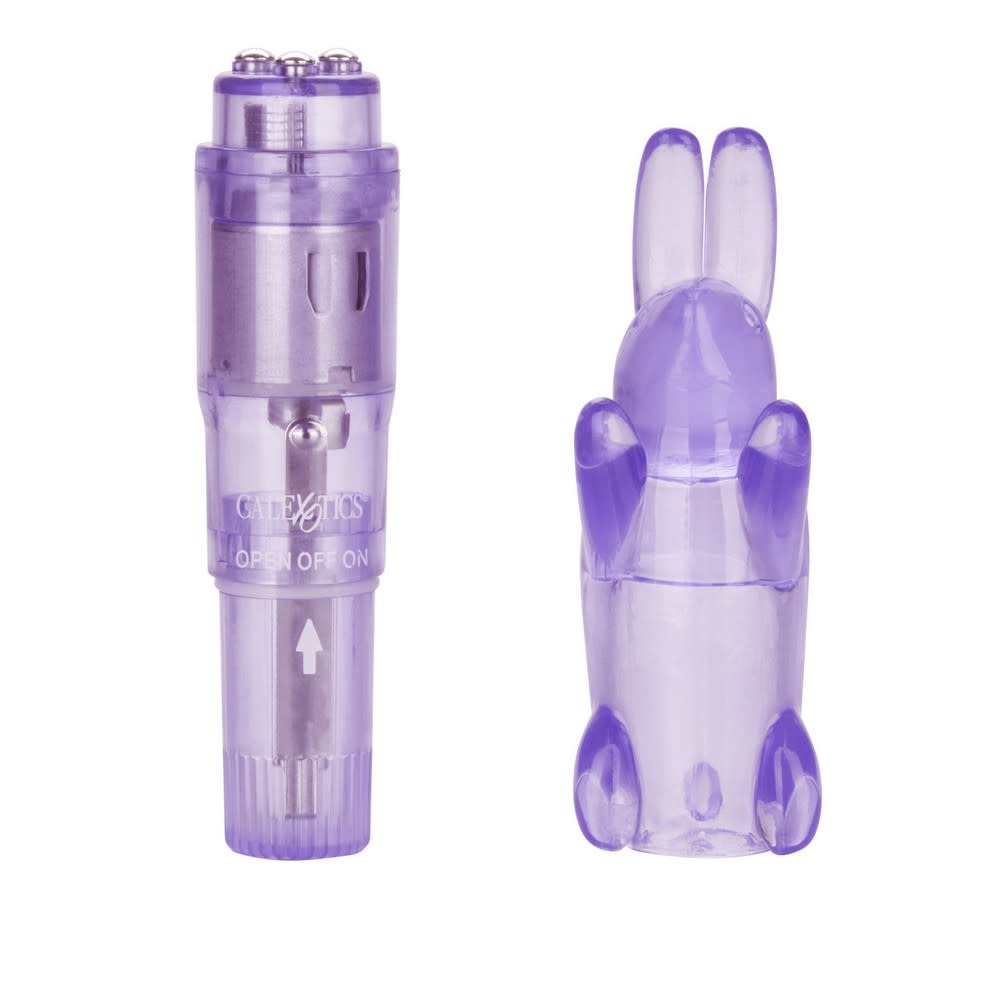 Cal Exotics Shane's World Pocket Party Vibe (Purple)