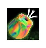 XR Brands Bloomgasm Glow Rose Air Pulse Toy