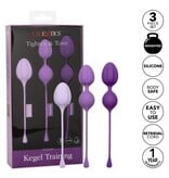 Cal Exotics Kegel Training 3 Piece Set