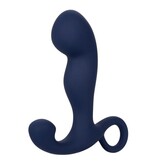 Cal Exotics Viceroy Rechargeable Command Probe