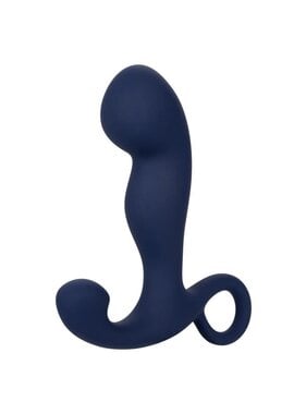 Cal Exotics Viceroy Rechargeable Command Probe