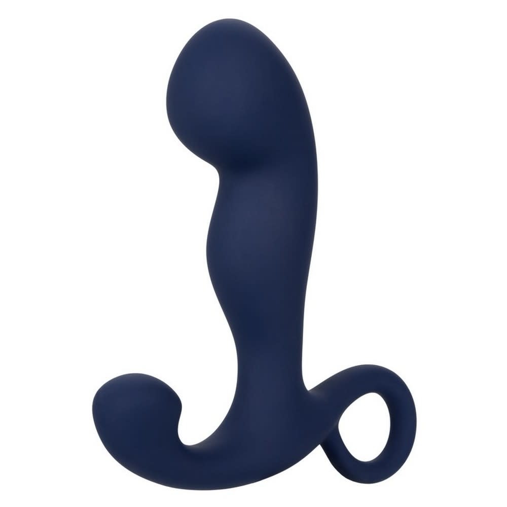 Cal Exotics Viceroy Rechargeable Command Probe