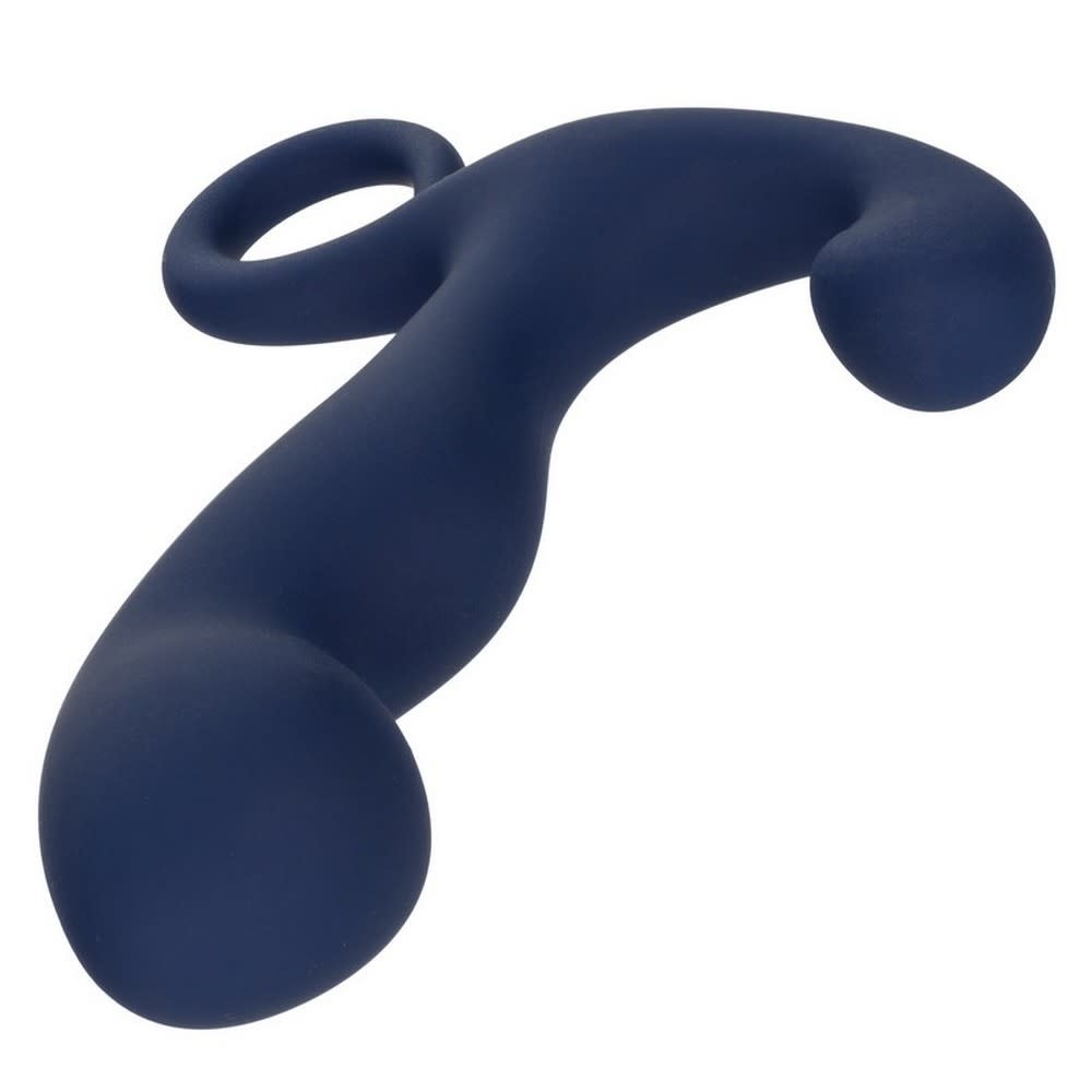 Cal Exotics Viceroy Rechargeable Command Probe