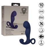 Cal Exotics Viceroy Rechargeable Command Probe