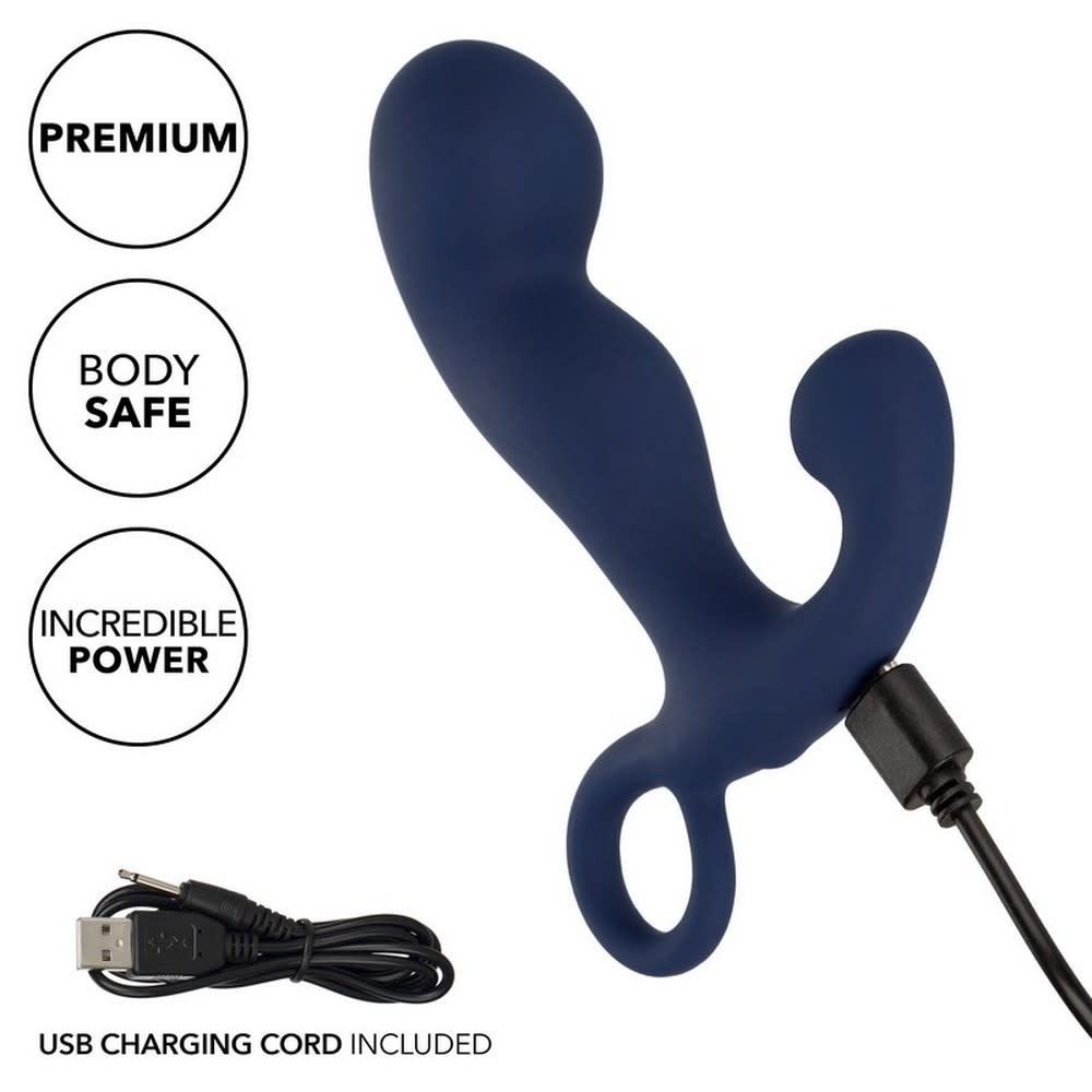 Cal Exotics Viceroy Rechargeable Command Probe