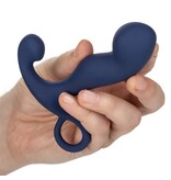 Cal Exotics Viceroy Rechargeable Command Probe