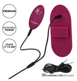Cal Exotics Dual Rider Remote Control Grinder