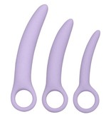 Cal Exotics Dr Berman's Alena Set of 3 Silicone Dilators