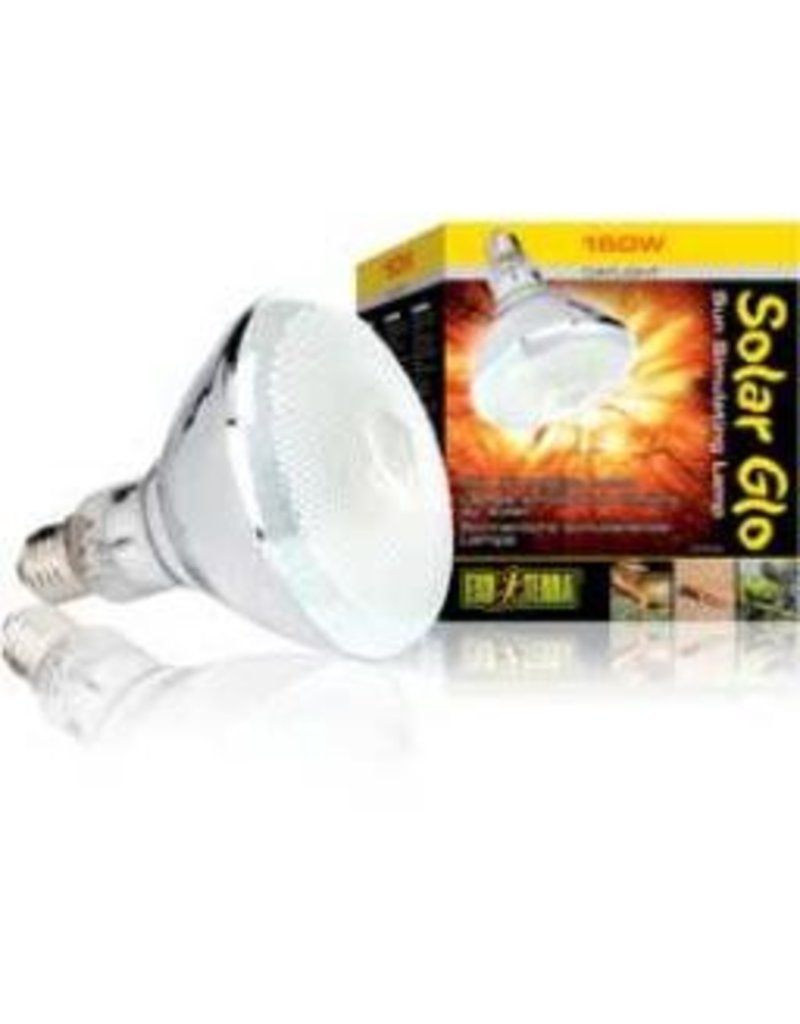 solar glo bulb