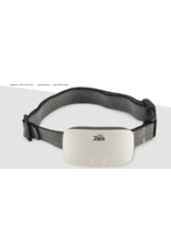 cat correction collar