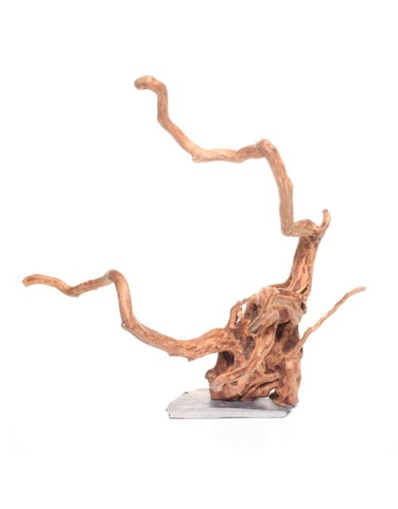 Aquaria UT AQUARIUM WOOD ROOT SM 8""12"" Rick's Pet Stores Inc.