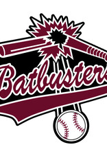 Batbuster Car Decal
