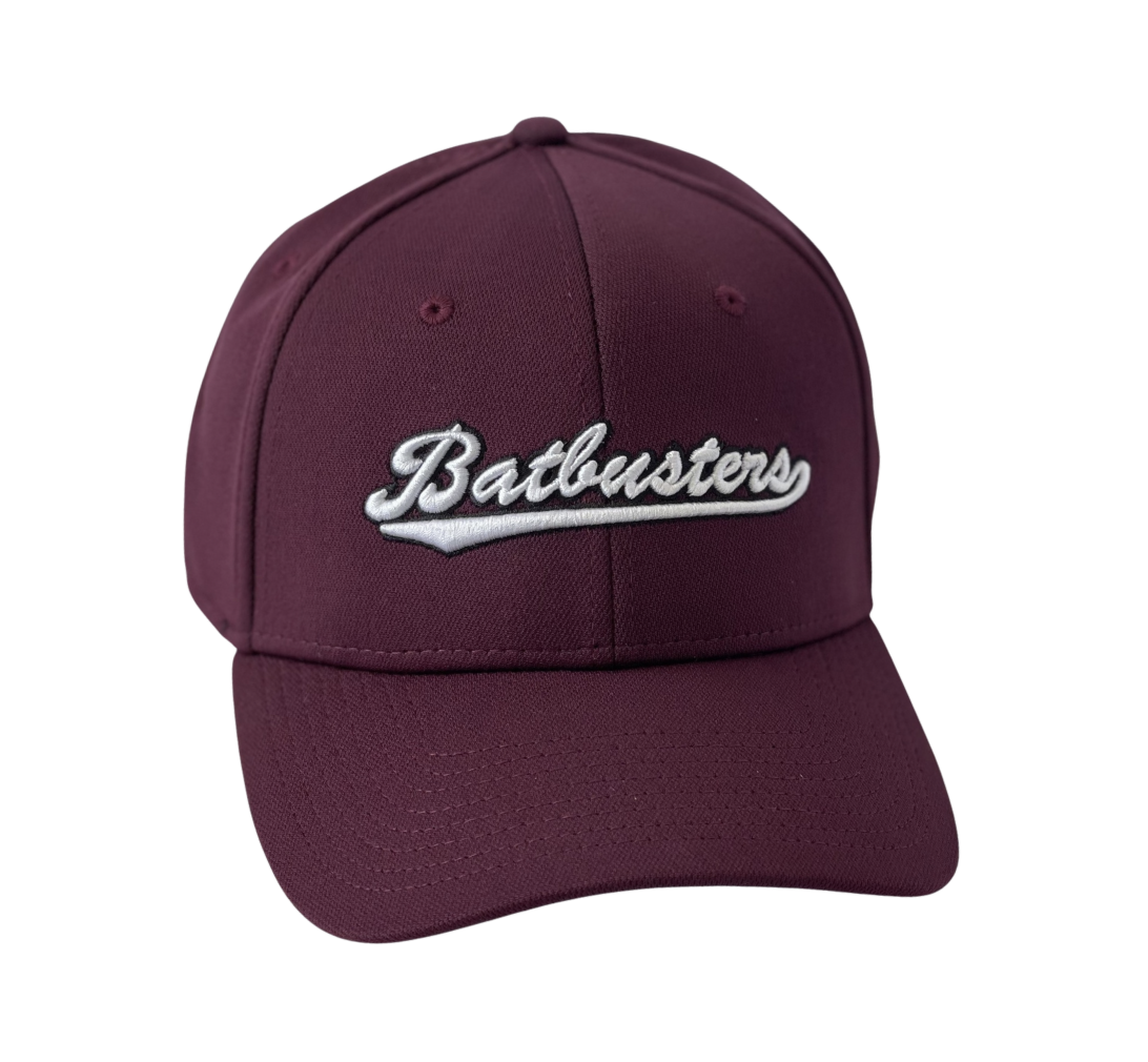 Batbusters Cap - Curved