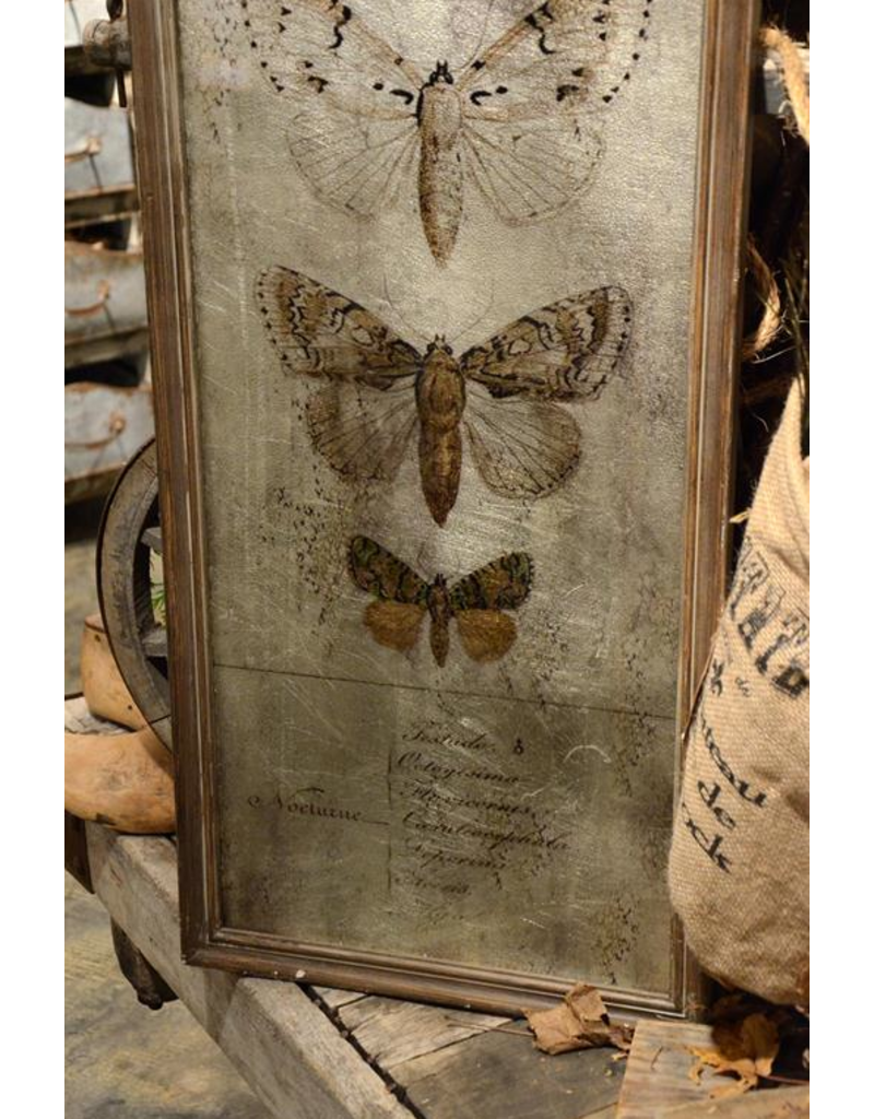Antiqued Butterfly Wall Art