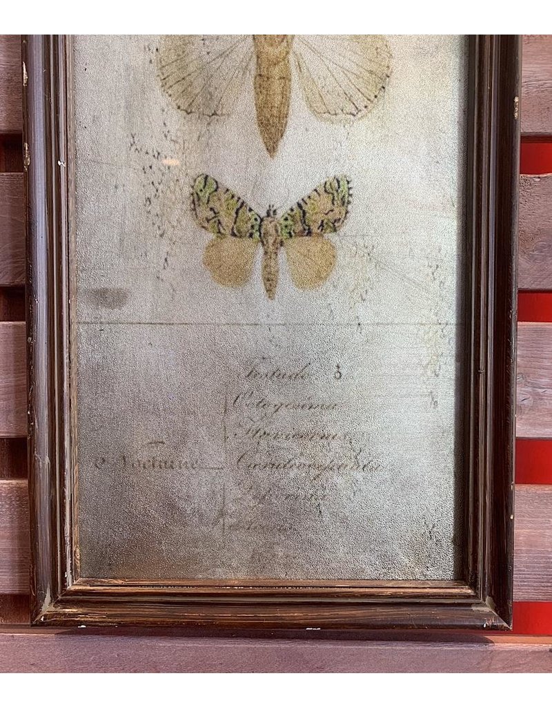 Antiqued Butterfly Wall Art
