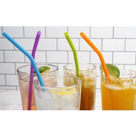 RSVP RSVP Silicone Straws 10 inch Set of 6 with Brush
