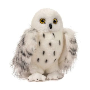 Douglas Wizard Snowy Owl