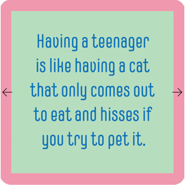 Drinks on Me Coasters Drinks On Me Coasters Teenager/Cat