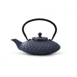 Bredemeijer Bredemeijer Teapot Cast Iron Blue XILIN 27oz