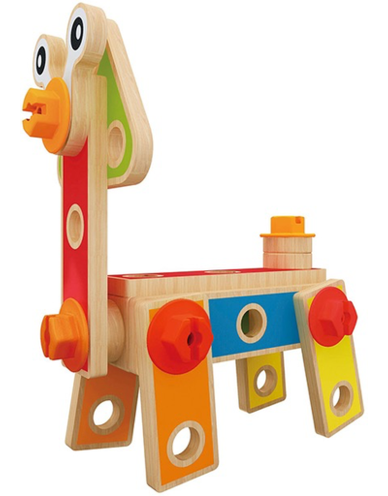 hape basic builder set