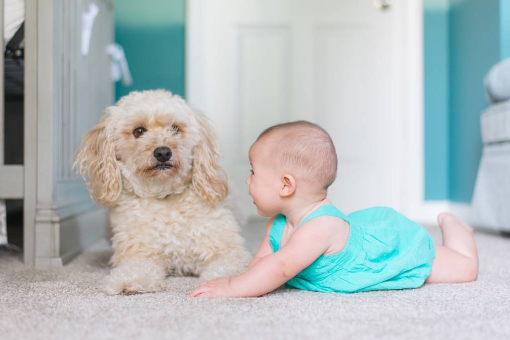 Meaningful Advice for New Parents