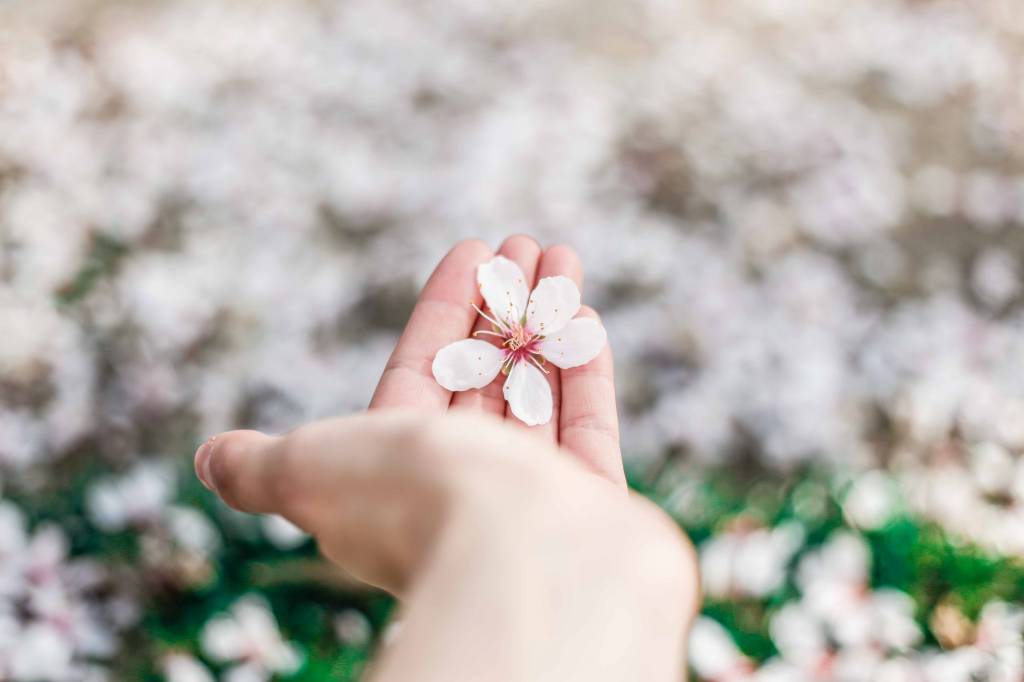 Springtime Fun from Bellaboo