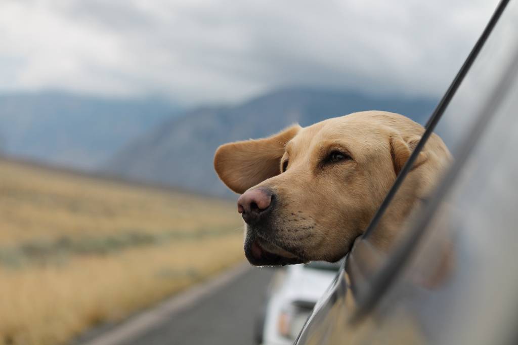 Beautiful Spring Day Trips from Bellaboo