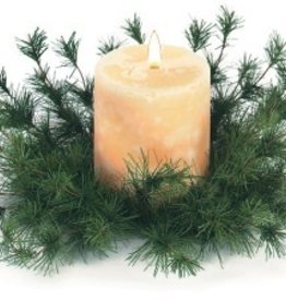 Sullivan Cluster Pine Candle Ring
