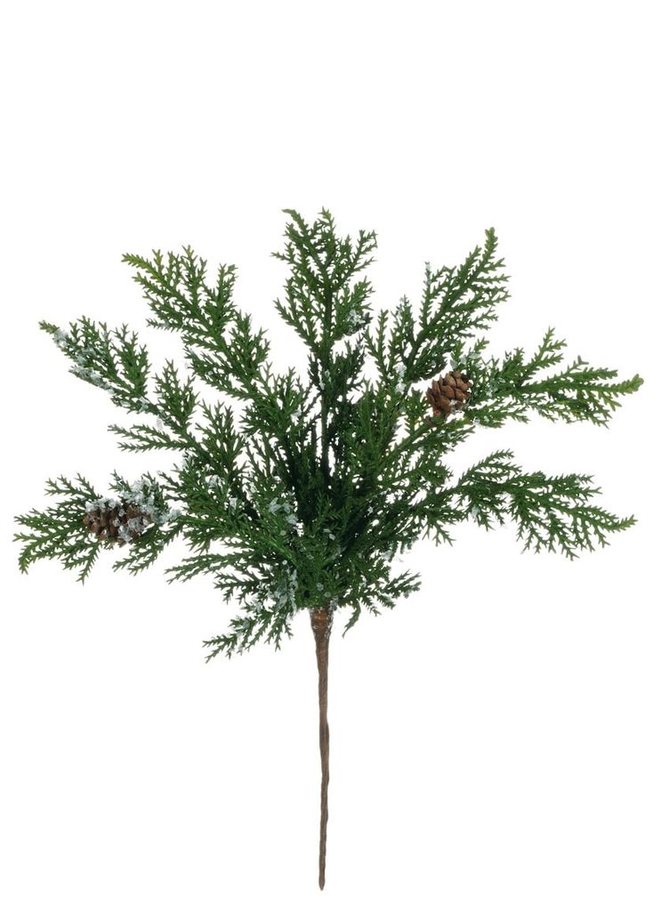 Sullivan Cypress Snow Pick 10"