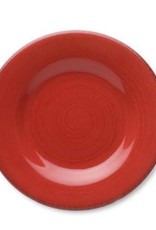 TAG Set of 4 Red Sonoma Salad Plates