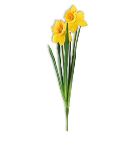 K&K Interiors 18” Yellow Daffodil w/Double Bloom Real Touch