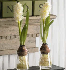 K&K Interiors Single Yellow Hyacinth in Glass Jar
