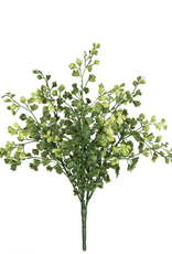 Sullivan 13” Maiden Hair Bush