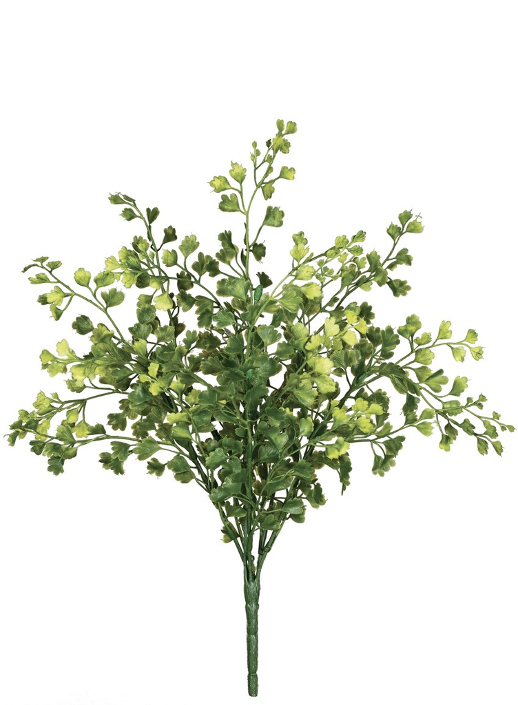 Sullivan 13” Maiden Hair Bush