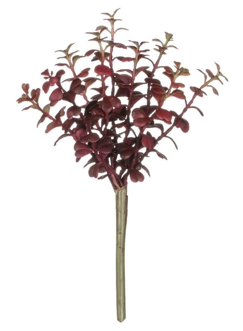 Sullivan Burgandy Succulent
