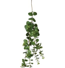 Sullivan Hanging Succulent