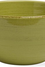 TAG Set of 2 Apple Green Sonoma Cereal Bowls